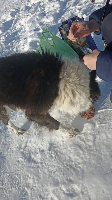 Все таки слепой малыш