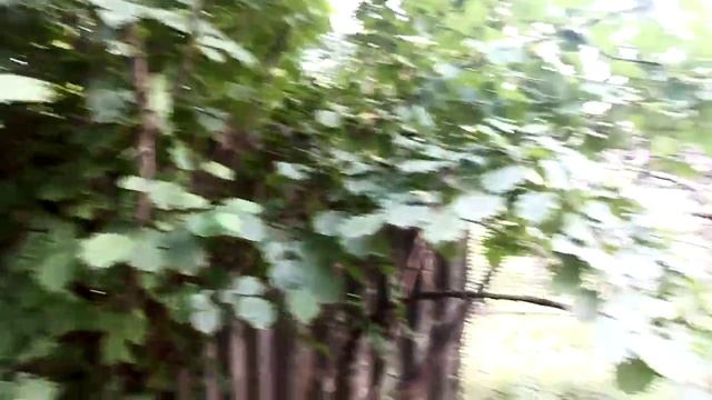 #уборка в саду #кубань частный дом,   #лещина #айва  #пилим #рубим #какяпровеллето #thetwinsboys