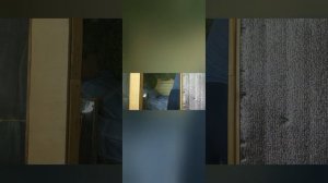 строю сауну в подвале ,переделка