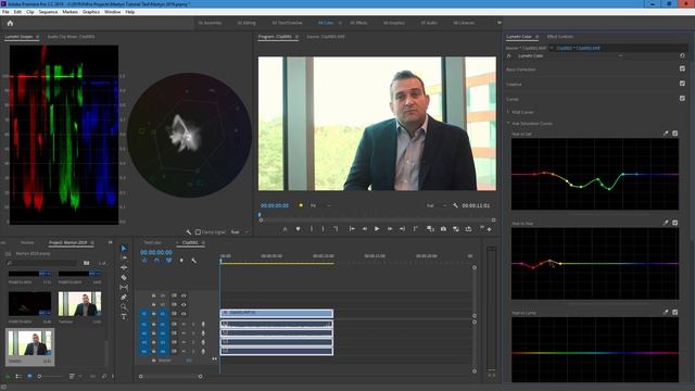PremierePro CC 2019 Lumetri Curves Demo смотреть онлайн
