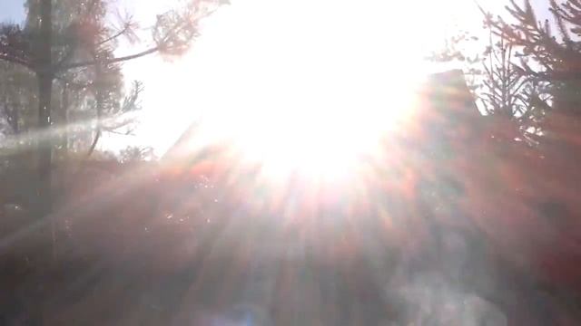 Дым вечер мясо смотреть онлайн