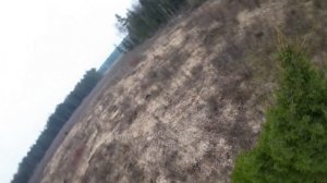 GEPRC Cinelog35 v2 - Forest
