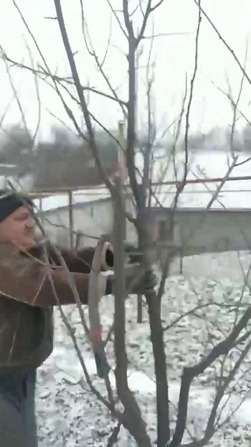 Працюємо в саду! смотреть онлайн