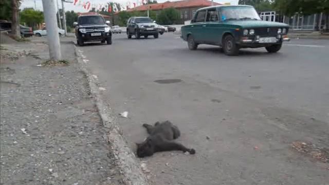 Gyumrin axeti goti(mas 2) смотреть онлайн