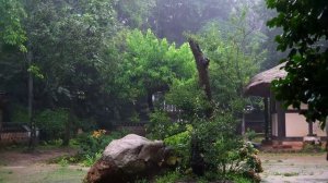 Сильный дождь на востоке. Шум дождя