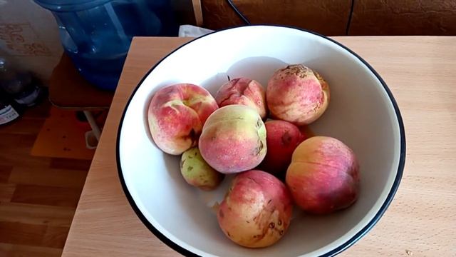 Бешеный урожай персиков 2020 г.... в Лисичанске! смотреть онлайн