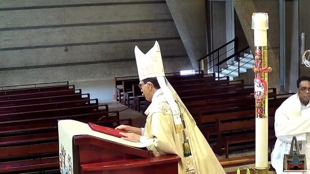Santa Misa desde la Basílica Catedral Nuestra Señora de la Altagracia 24/5/2020 смотреть онлайн