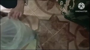 Стерлядь/ Покупка рыбы в УЗВ/ Перевод рыбы с холодной воды на тёплую.