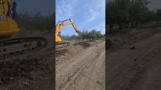 Корчеватель пней на экскаватор в работе