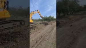 Корчеватель пней на экскаватор в работе