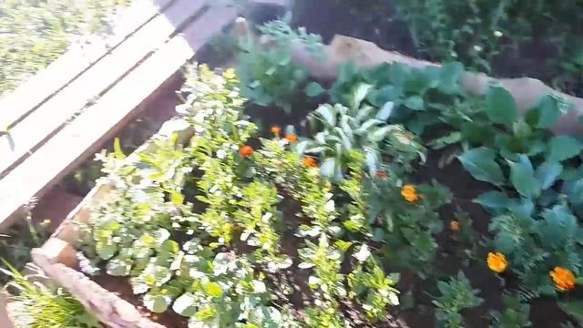 Странный звук в подвале/ 1 серия / БЕЗУПРЕЧНАЯ ВИКТОРИЯ смотреть онлайн