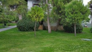 voyage sorgun 5*