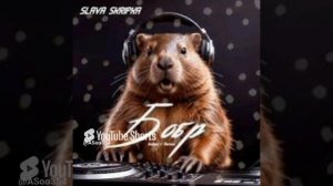 Песня _Бобёр _ (кавер на Slava Skripka)#музыка