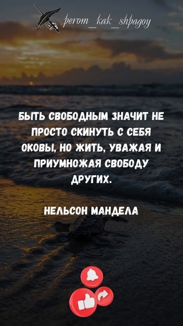 Мудрость прошлого.