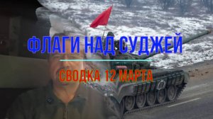 Флаги над Суджей, сводка 12 марта