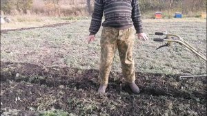 Подготовка почвы для посадки чеснока