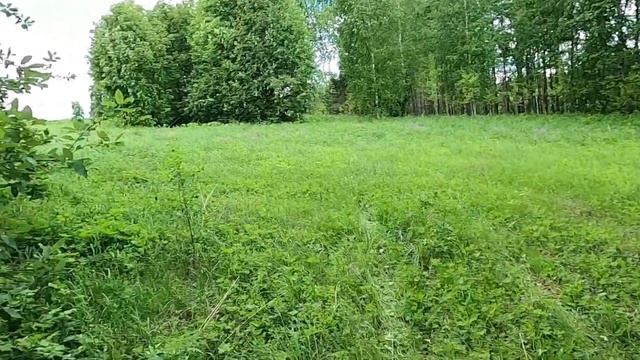 ПРОДОЛЖАЕМ ПОИСК НА СТАРОЙ ДАМБЕ.