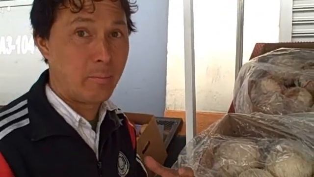 Best Coconut Water & Young Green Coconuts in Southern California смотреть онлайн