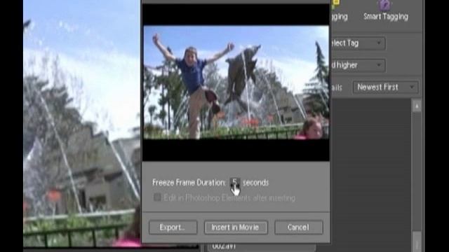 Premiere Elements 7 Tutorial Module 2.04 смотреть онлайн