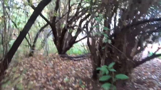 Берег озера Шарташ, осень 2017 смотреть онлайн