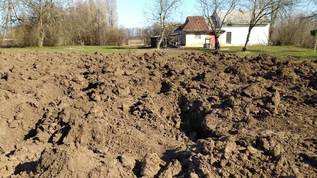 Планировка виноградника и внесение лучшего удобрения.