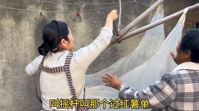 农忙接近尾声，中午坐小田园安心吃饭，猪肉萝卜大葱饺子味道真棒, 农村传统手艺出粉芡，干完中午还是面条，一口下去呲溜半碗，得劲