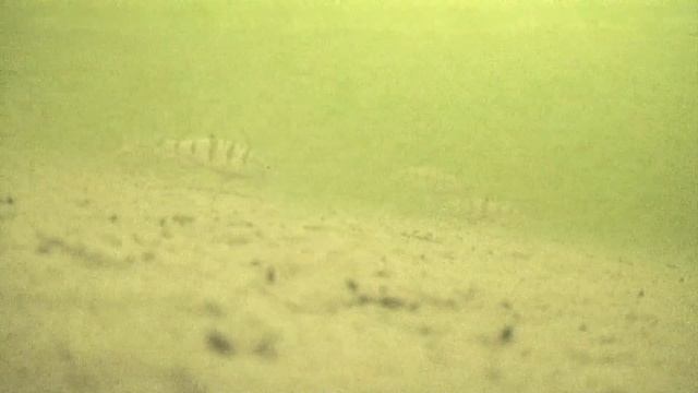 Подводный мир 2 часть смотреть онлайн