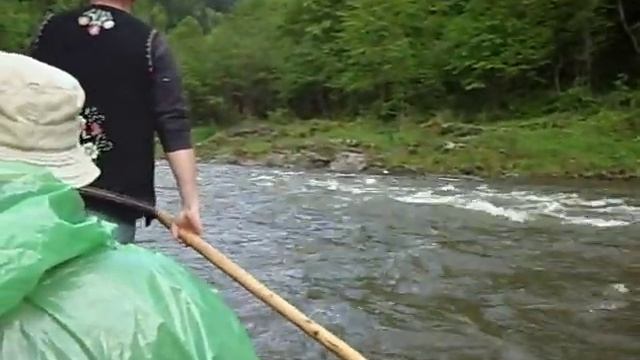 Leidymasis plaustais смотреть онлайн