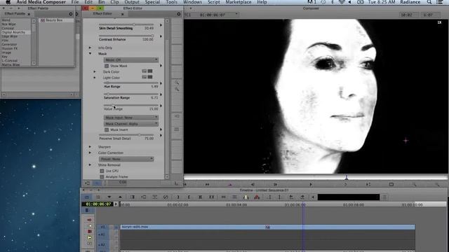Beauty Box Video for Avid - Intro Tutorial смотреть онлайн
