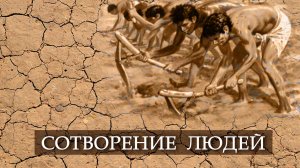 №11 Сотворение людей