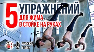 5 ЛУЧШИХ УПРАЖНЕНИЙ ДЛЯ ЖИМА В СТОЙКЕ НА РУКАХ