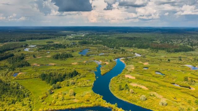 Отчим бросил ребенка в лесу и ушёл! Его нашла волчица и сделала с ним это! смотреть онлайн
