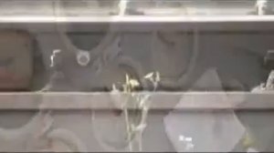 Крушение поездов на перегоне Ерал — Симская