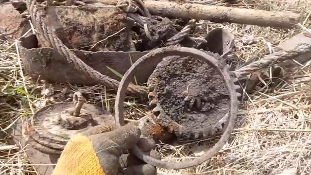 Здесь НИКТО не копал!!! смотреть онлайн