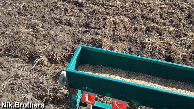 Посев озимой пшеницы .2019 Более одного гектара мотоблочною сеялкою смотреть онлайн