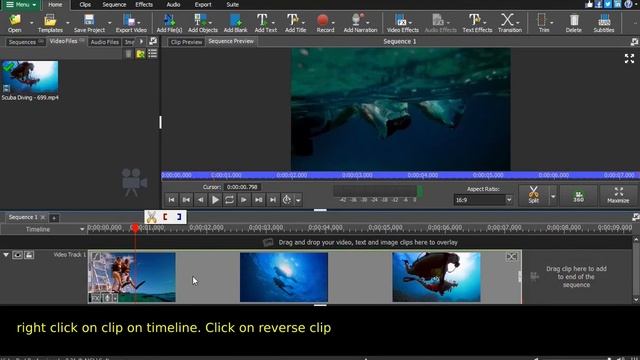 How To Reverse Video In Videopad  - Videopad Video Editor Tutorial #14