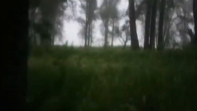 Мокрая Рыбалка смотреть онлайн