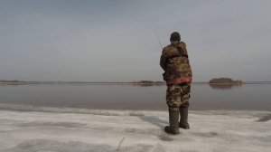 Первая Рыбалка по ОТКРЫТОЙ ВОДЕ с Удочкой 2024 .Ловля Леща Краснопёрки на Поплавок .