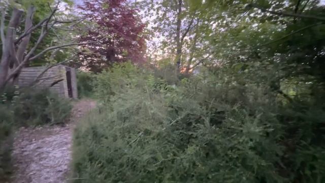 The Cottage Diaries May 14 смотреть онлайн