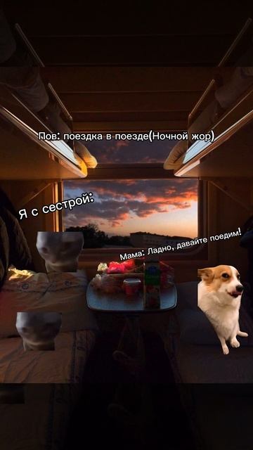 Пов: поездка на поезде! (4 часть) Ночной жор! #поезд #вологда #ночь #жд #ржд #ночьвпоезде #Котлас