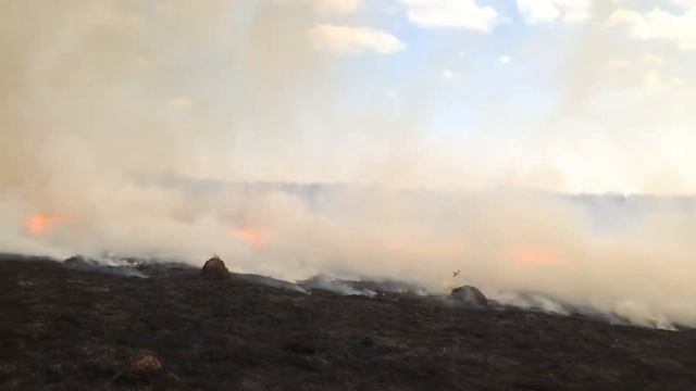 Весенний пал травы смотреть онлайн