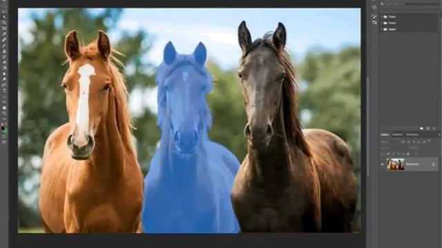 adobe sensei смотреть онлайн