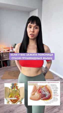 Тазовое дно и ощущения при интимной близости.