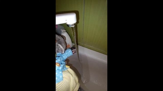 1 серия не большого мультика "ВЫХОДНЫЕ БЭБИКА!" смотреть онлайн