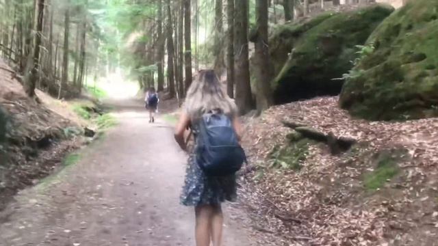Саксонская Швейцария / Потерялись в лесу✨ смотреть онлайн