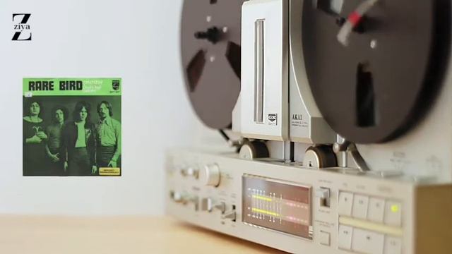 Sympathy - Rare bird смотреть онлайн