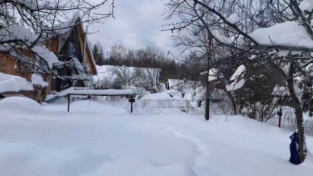 ВЫХОДНЫЕ В ДЕРЕВНЕ ФЕВРАЛЬ 2024 смотреть онлайн