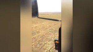 Sipma 224/1 Кукурузу Прессует пресс-подборщик