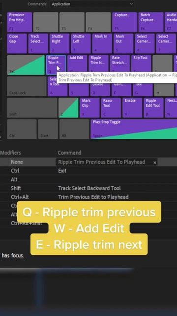 10x your workflow with these premiere pro shortcuts #premierepro #premiereprotutorial