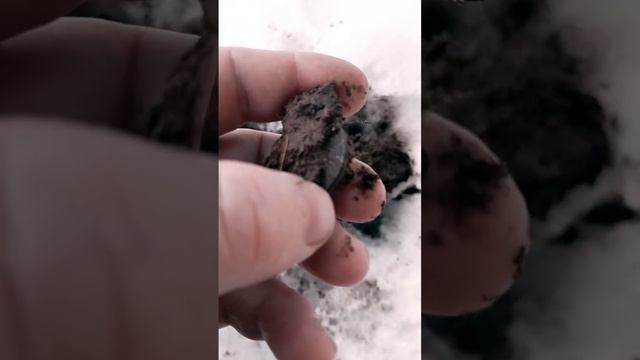 ПОПАЛАСЬ КРАСАВИЦА, 180 ЛЕТ ЖДАЛА МЕНЯ...!!! КОП, КОП С МЕТАЛЛОИСКАТЕЛЕМ, ПОИСК МОНЕТ, МОНЕТЫ.